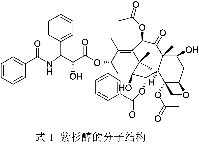 Preparation method of water-soluble paclitaxel anticancer drug