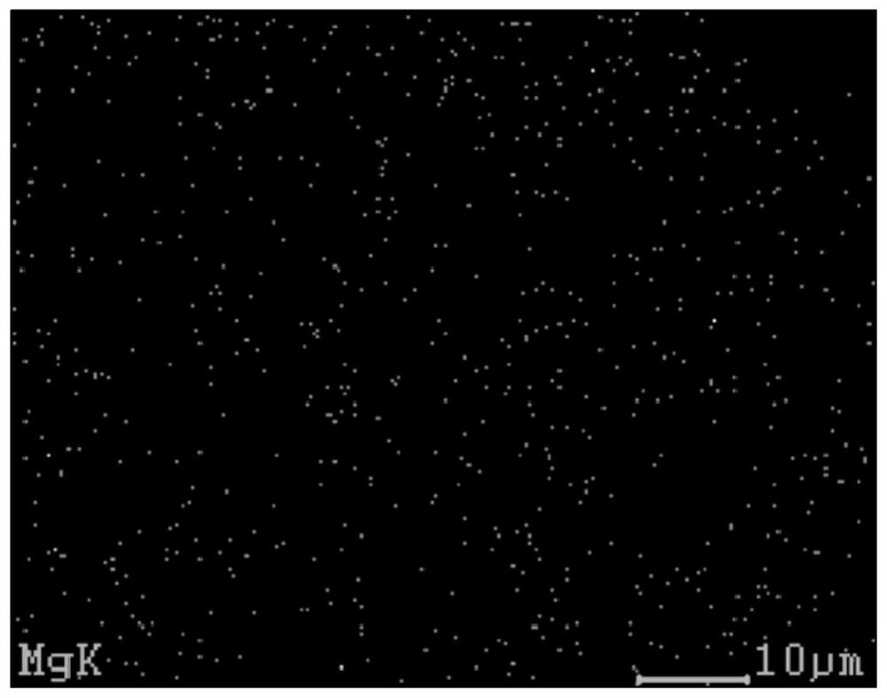 Three-dimensional composite metal lithium negative electrode, metal lithium battery and device