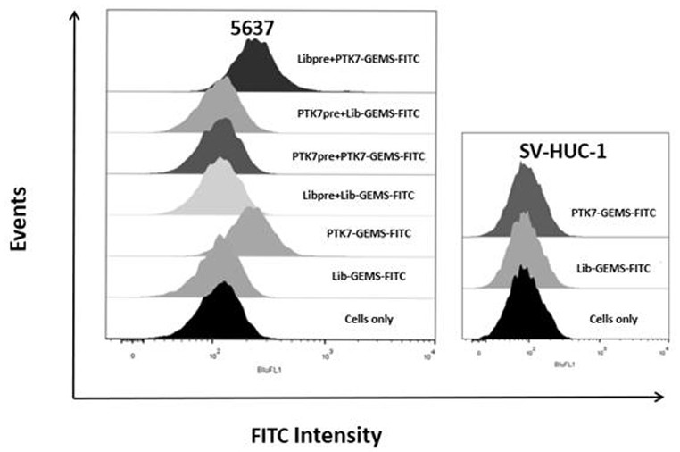 Application of nucleic acid aptamer-drug conjugate PTK7-GEMs in preparation of drug for treating bladder cancer