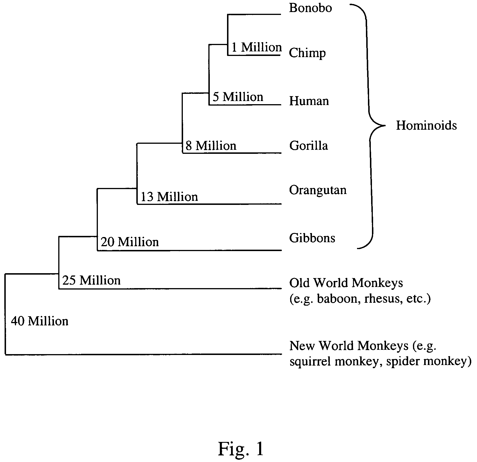 Methods to identify polynucleotide and polypeptide sequences which may be associated with physiological and medical conditions