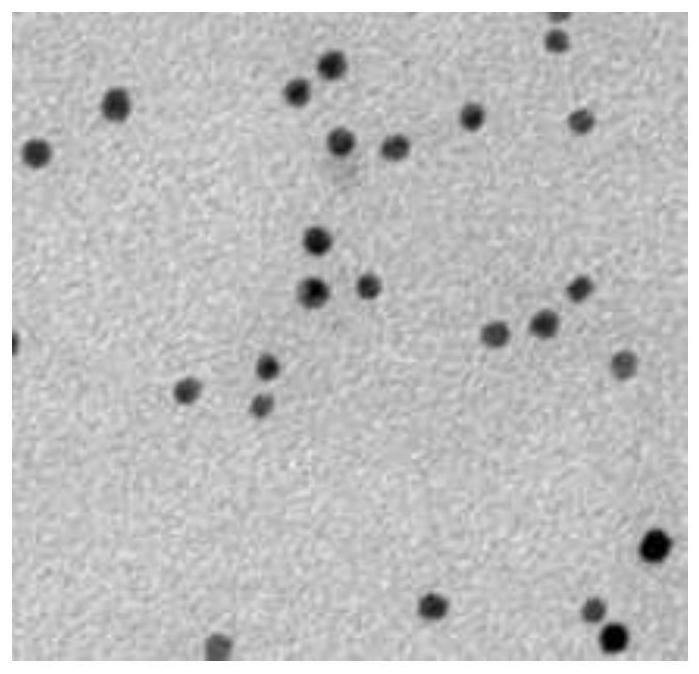 Preparation method of magnetic nanoparticles with improved dispersion and particle uniformity