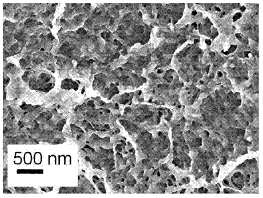 Preparation method of phenolic resin aerogel