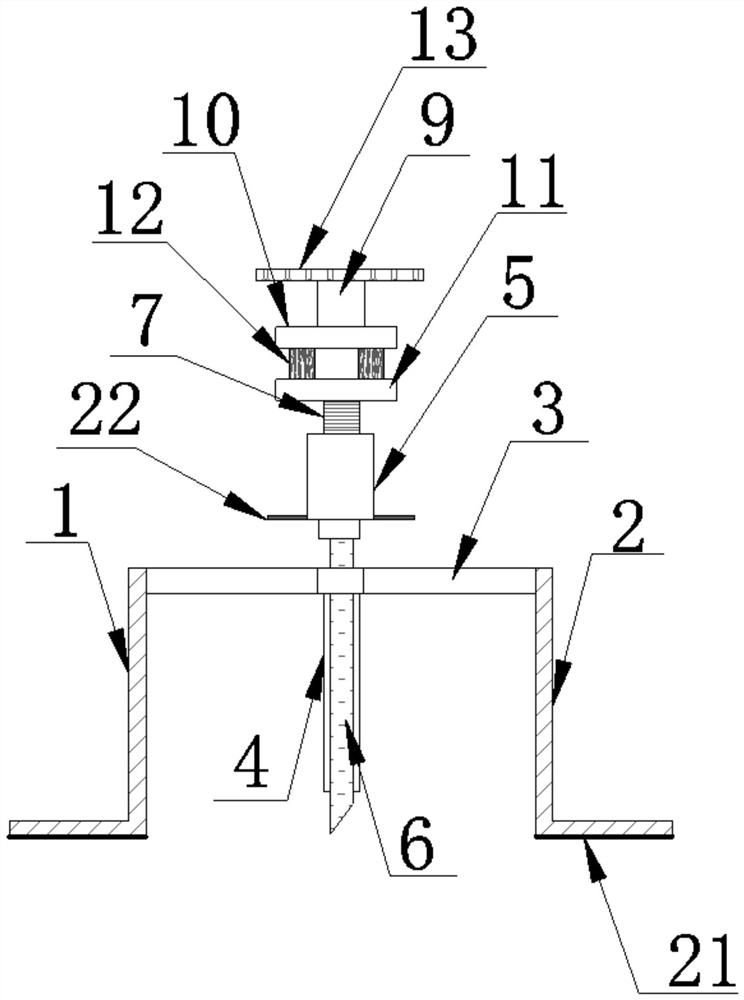 Probe for tumor pathological diagnosis and use method