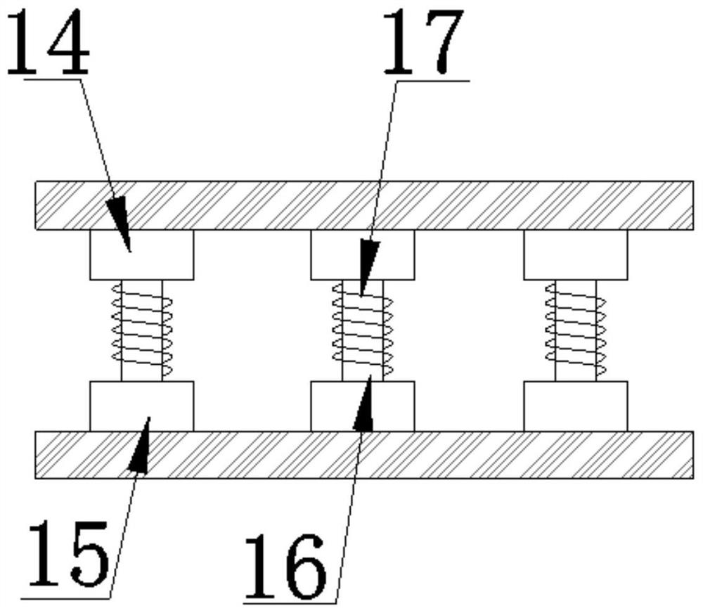 Probe for tumor pathological diagnosis and use method