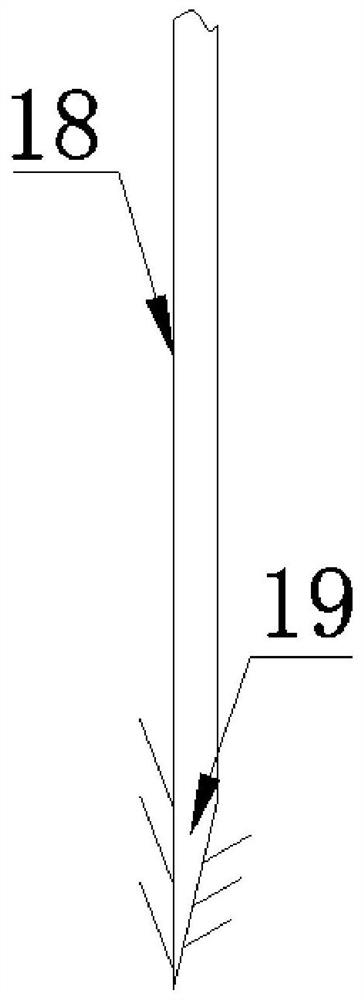 Probe for tumor pathological diagnosis and use method