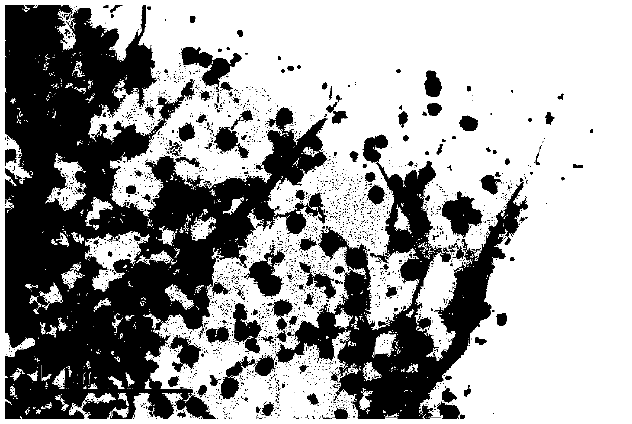 Adsorption material and method for removing nuclide silver in reactor coolant by using it