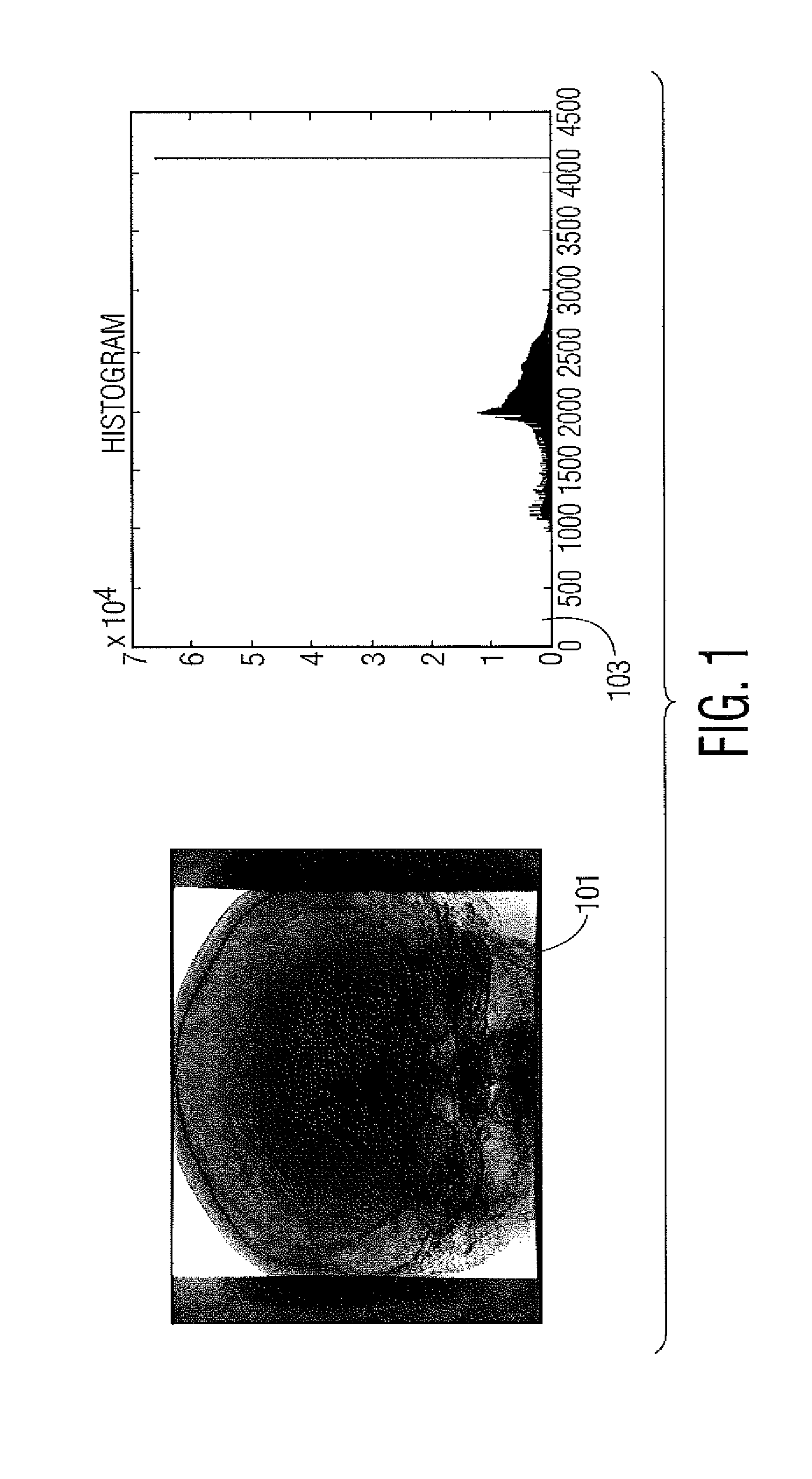 Medical image and vessel characteristic data processing system