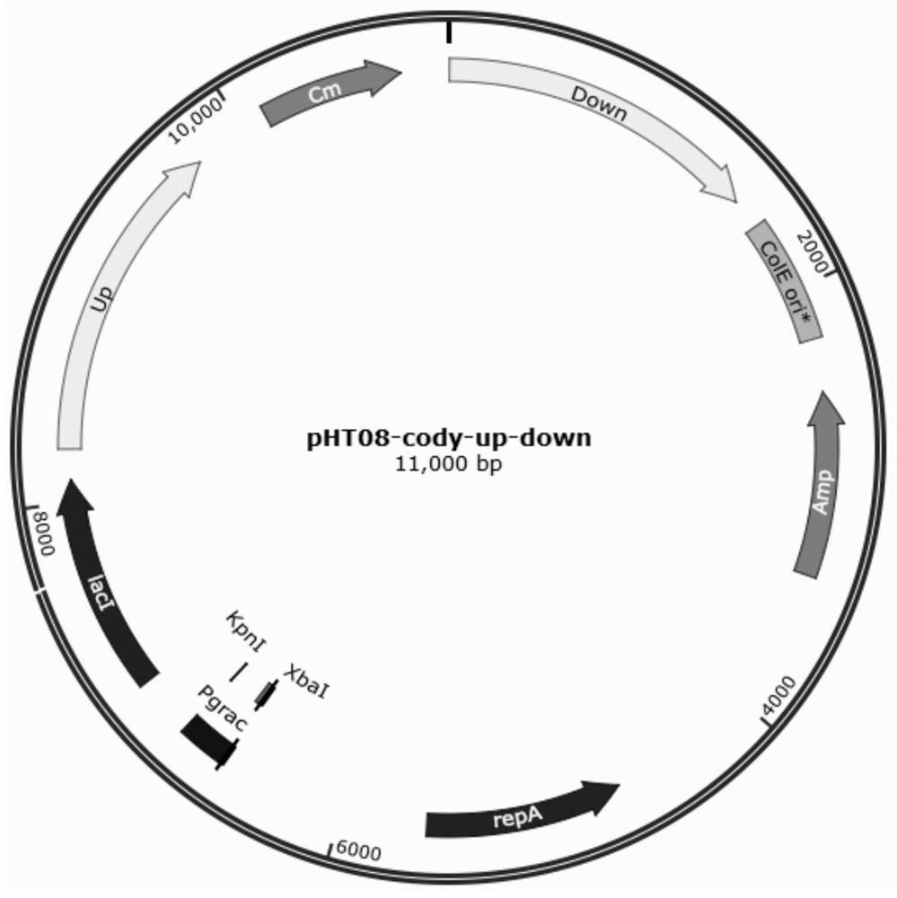 A method for transforming Bacillus siamese by electric shock