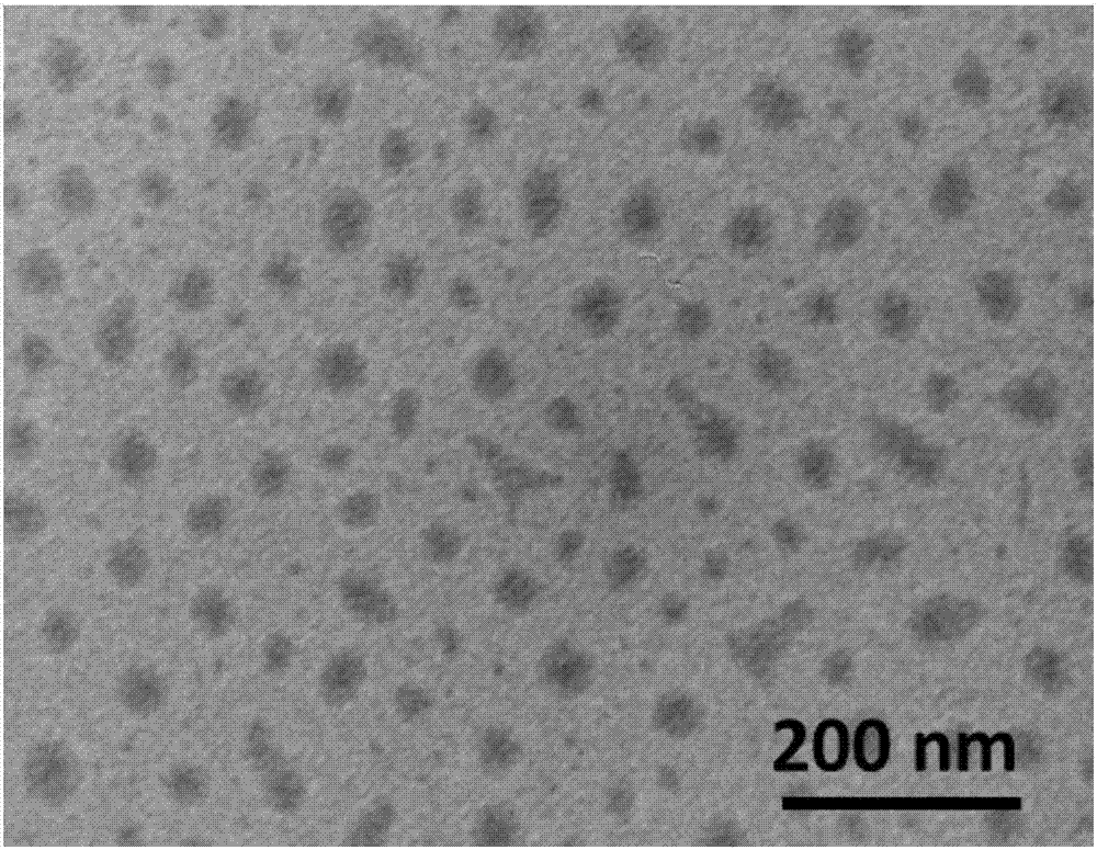 Preparation method of triple responsive nanogel and application of triple responsive nanogel