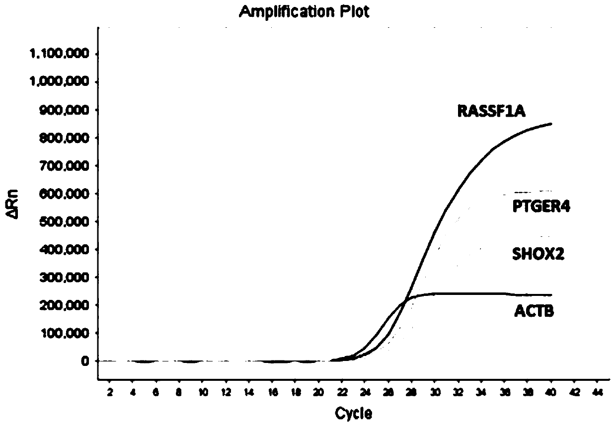 Nucleic acid composition, kit and detection method for detecting methylation of lung cancer related genes