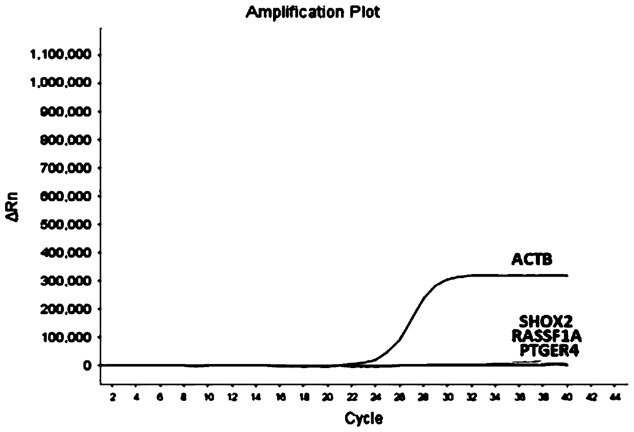 Nucleic acid composition, kit and detection method for detecting methylation of lung cancer related genes