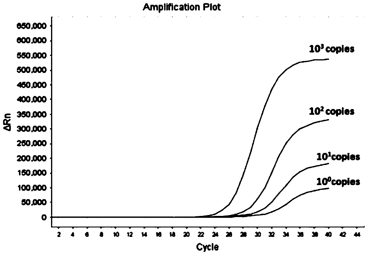 Nucleic acid composition, kit and detection method for detecting methylation of lung cancer related genes