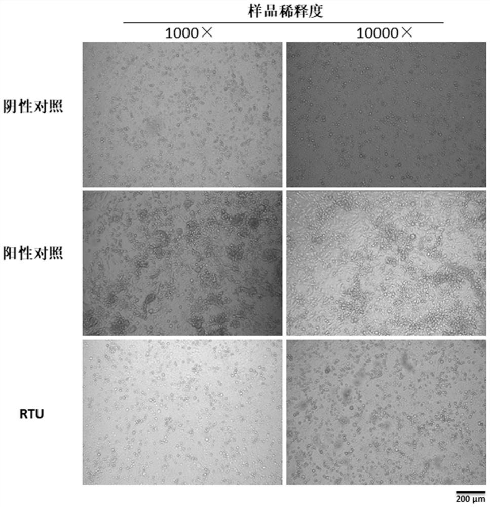 Reagent for Respiratory Virus Treatment and Its Application