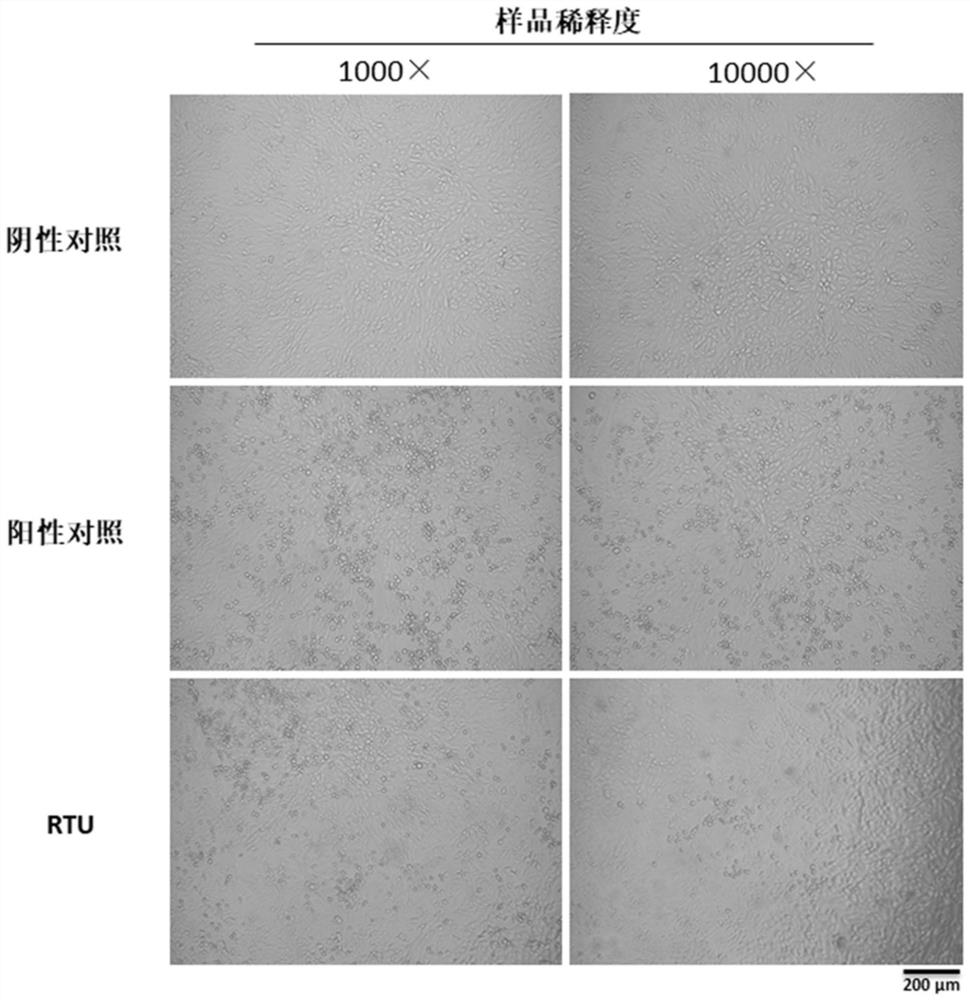 Reagent for Respiratory Virus Treatment and Its Application