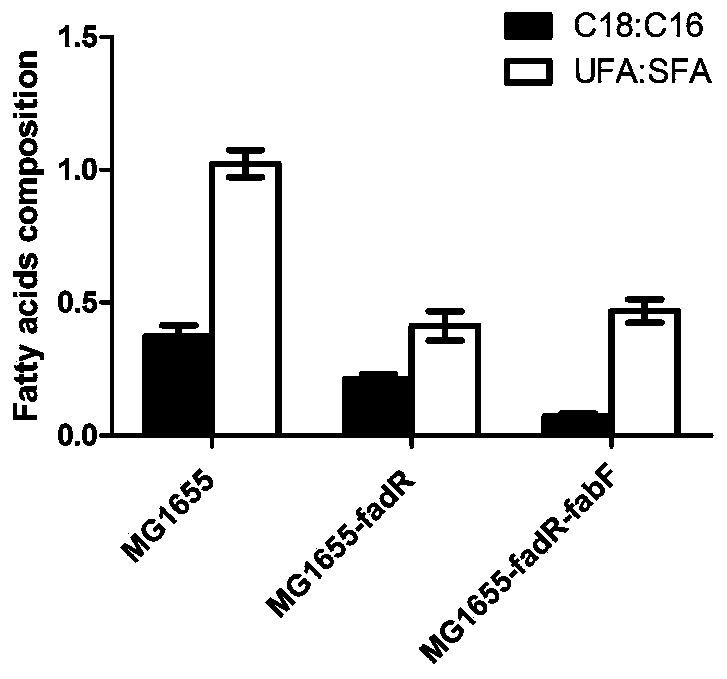 Genetically engineered bacterium for expressing high-activity ice nucleation protein and construction method of genetically engineered bacterium