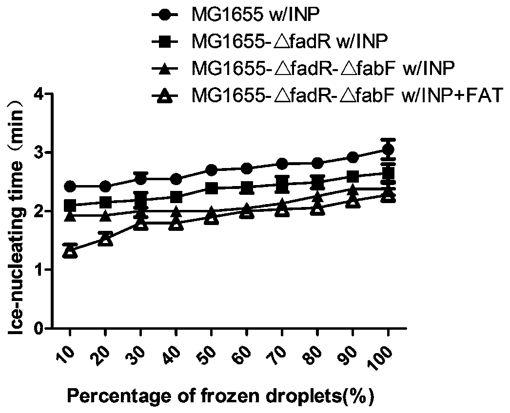 Genetically engineered bacterium for expressing high-activity ice nucleation protein and construction method of genetically engineered bacterium