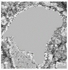 Mineral component identification method based on standard mineral color database