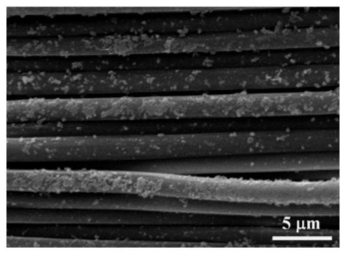 Functionalized oriented fibers for tissue-engineered vascular scaffold construction and preparation method thereof