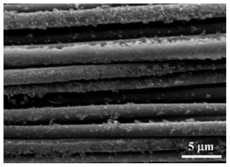 Functionalized oriented fibers for tissue-engineered vascular scaffold construction and preparation method thereof