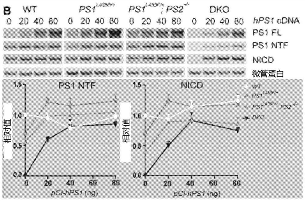 Gene therapy for alzheimer's disease