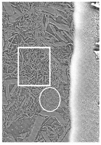 Thermally conductive sheet precursor, thermally conductive sheet obtained from precursor and production method thereof