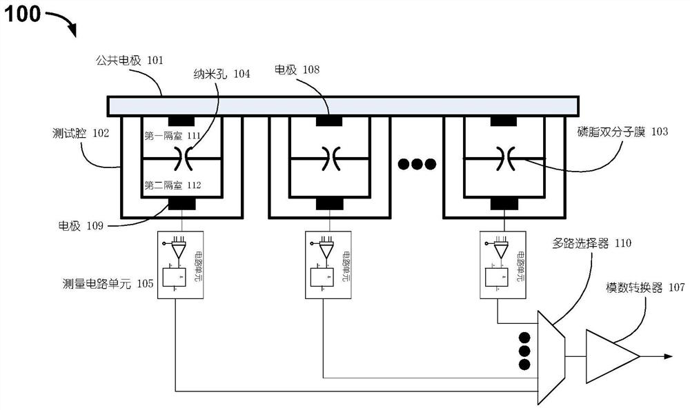 Gene sequencing measuring device and measuring method thereof