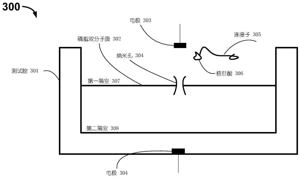 Gene sequencing measuring device and measuring method thereof