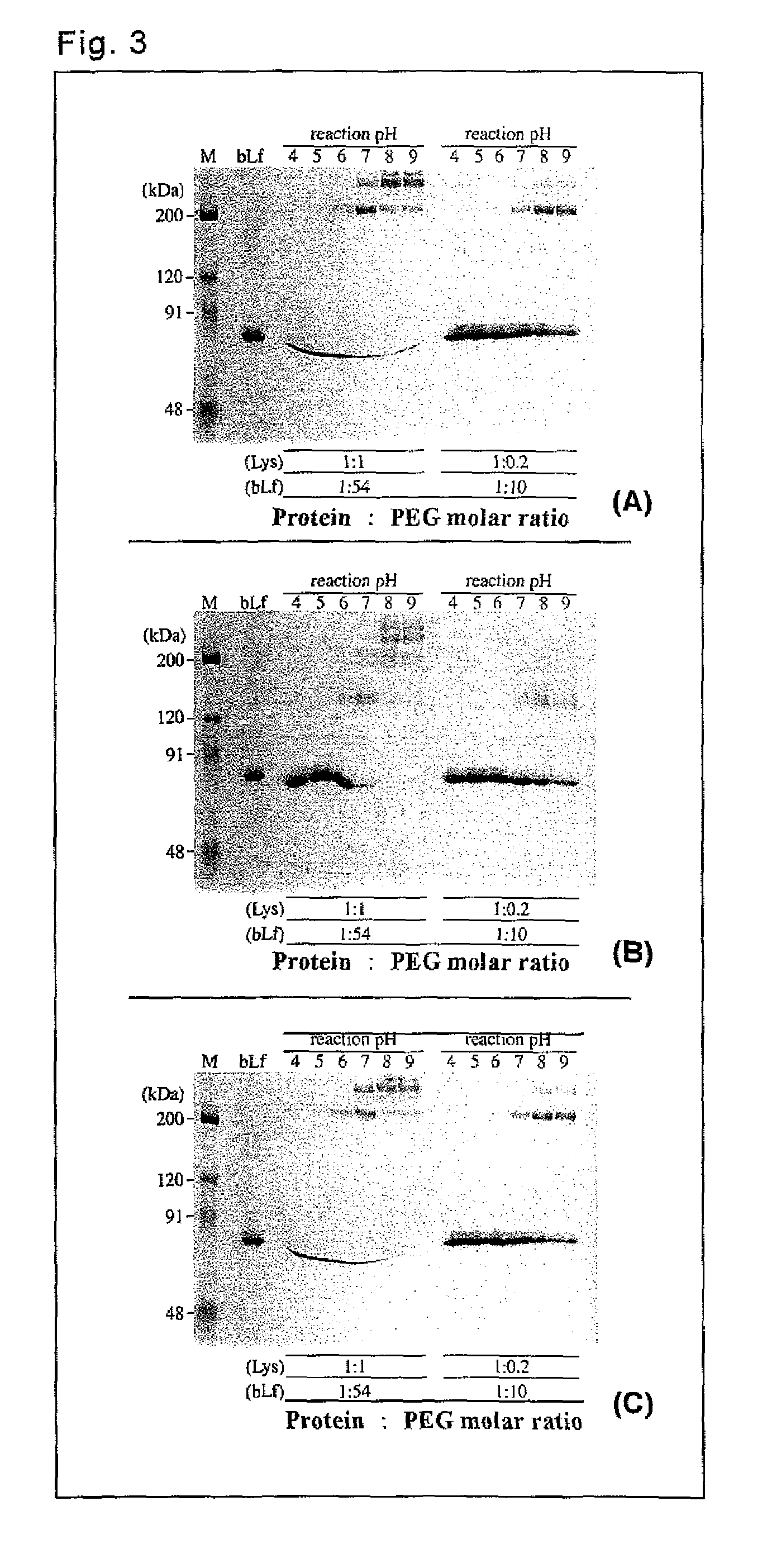 Lactoferrin complex and method of producing the same