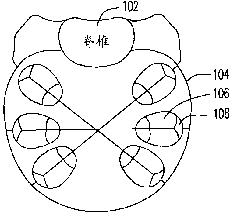 Maternal fetus monitoring device and method