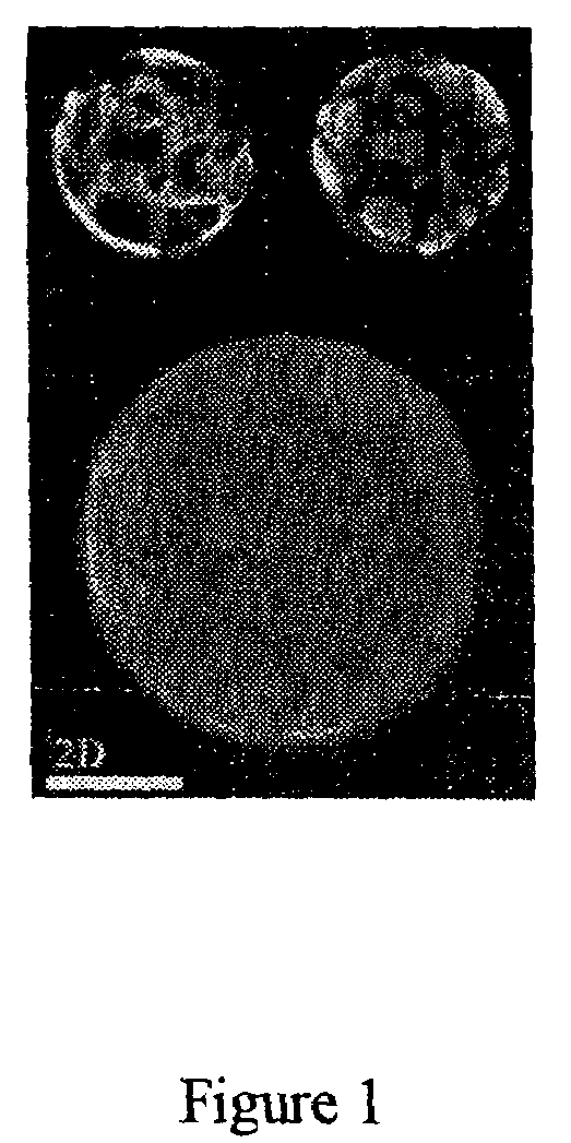 Liposome for incorporating large amounts of hydrophobic substances