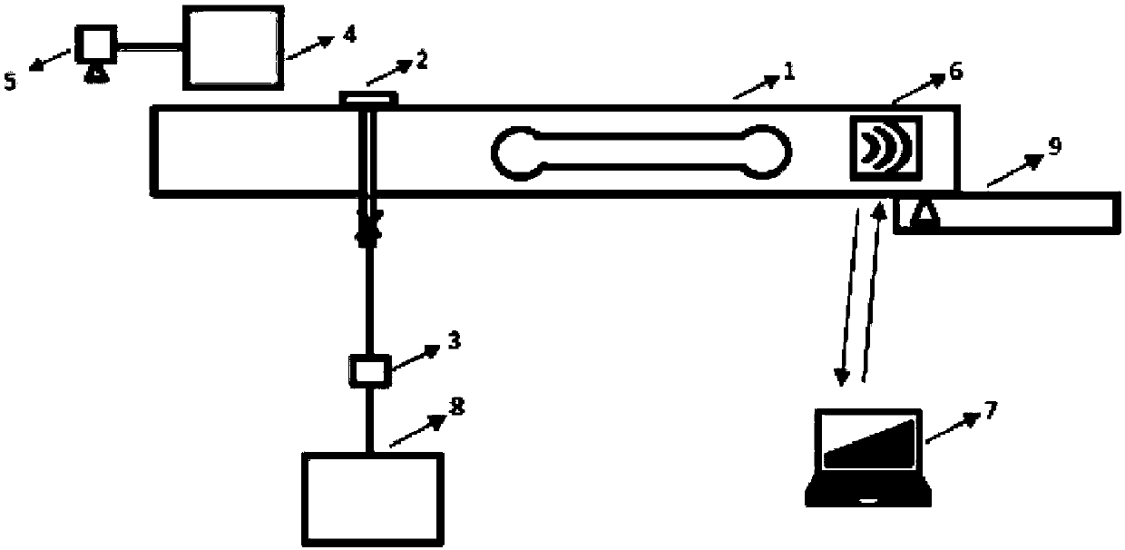 Device for monitoring growth speed of corals in seawater and measuring method of device