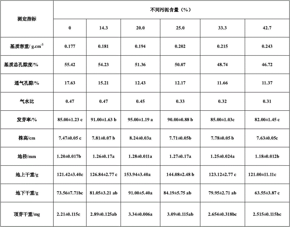 A kind of sludge mushroom slag cultivation substrate suitable for Chinese pine growth and its method