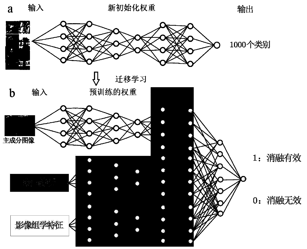 Tumor ablation curative effect prediction method, device, equipment and computer medium