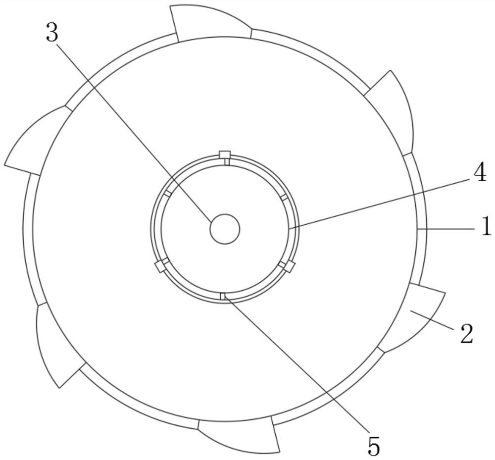 Shape self-adjusting type washing ball