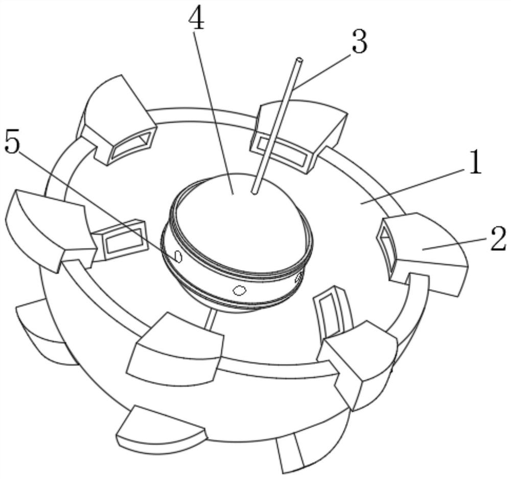 Shape self-adjusting type washing ball