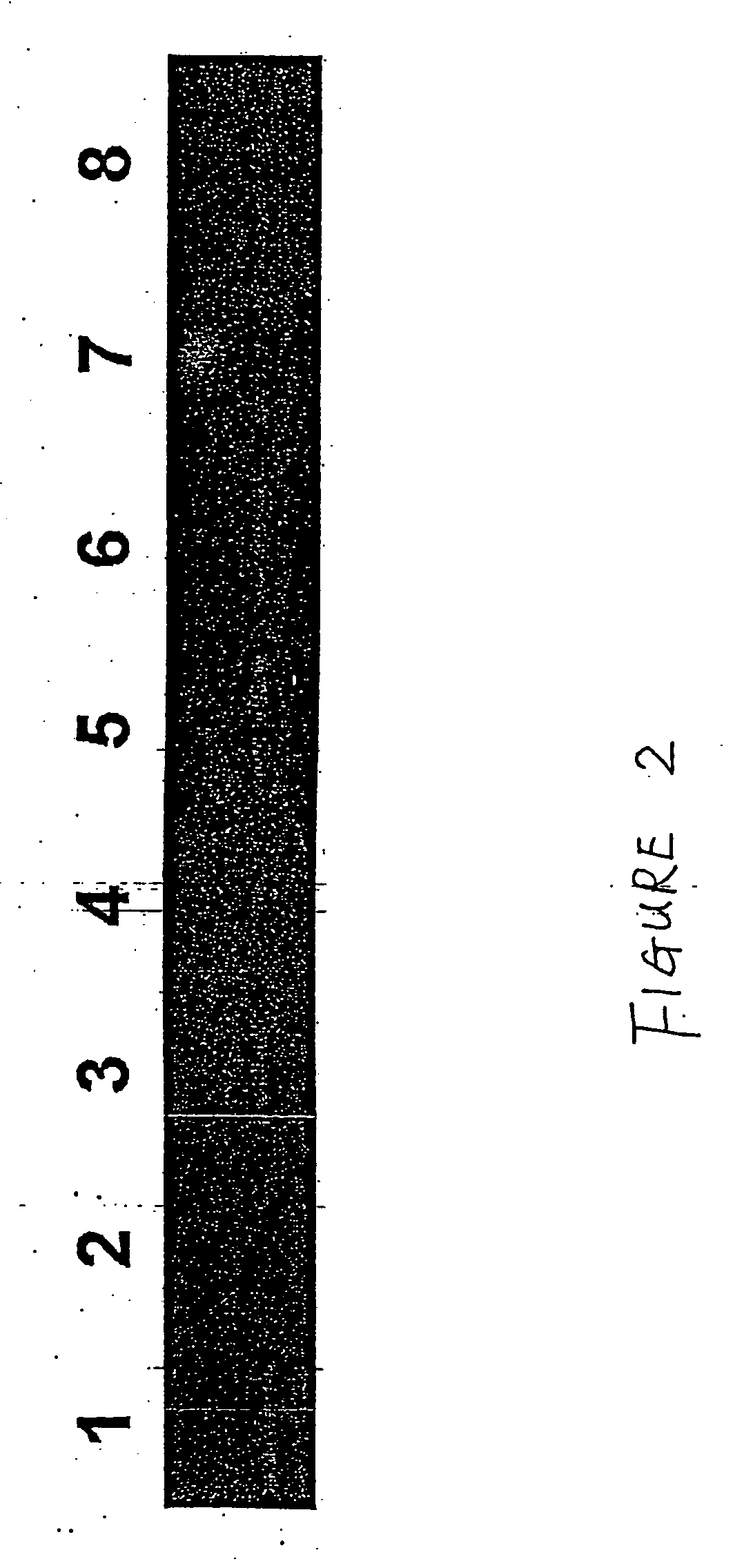 Method for the detection of rheumatoid arthritis related gene transcripts in blood