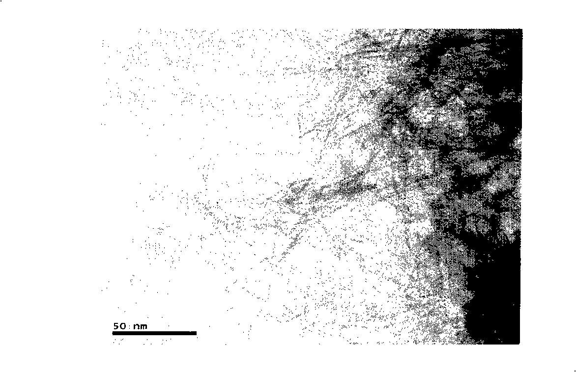 Titanium dioxide nano-tube support with macroscopical shape and preparation method thereof