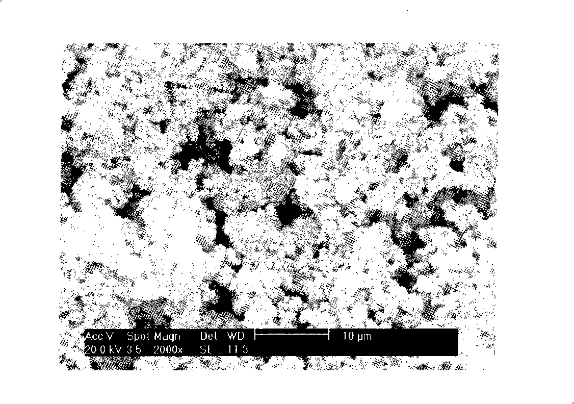 Titanium dioxide nano-tube support with macroscopical shape and preparation method thereof