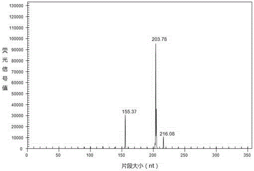 GeXP quick detection kit and detection method for identifying 8 chicken immunosuppression disease pathogens