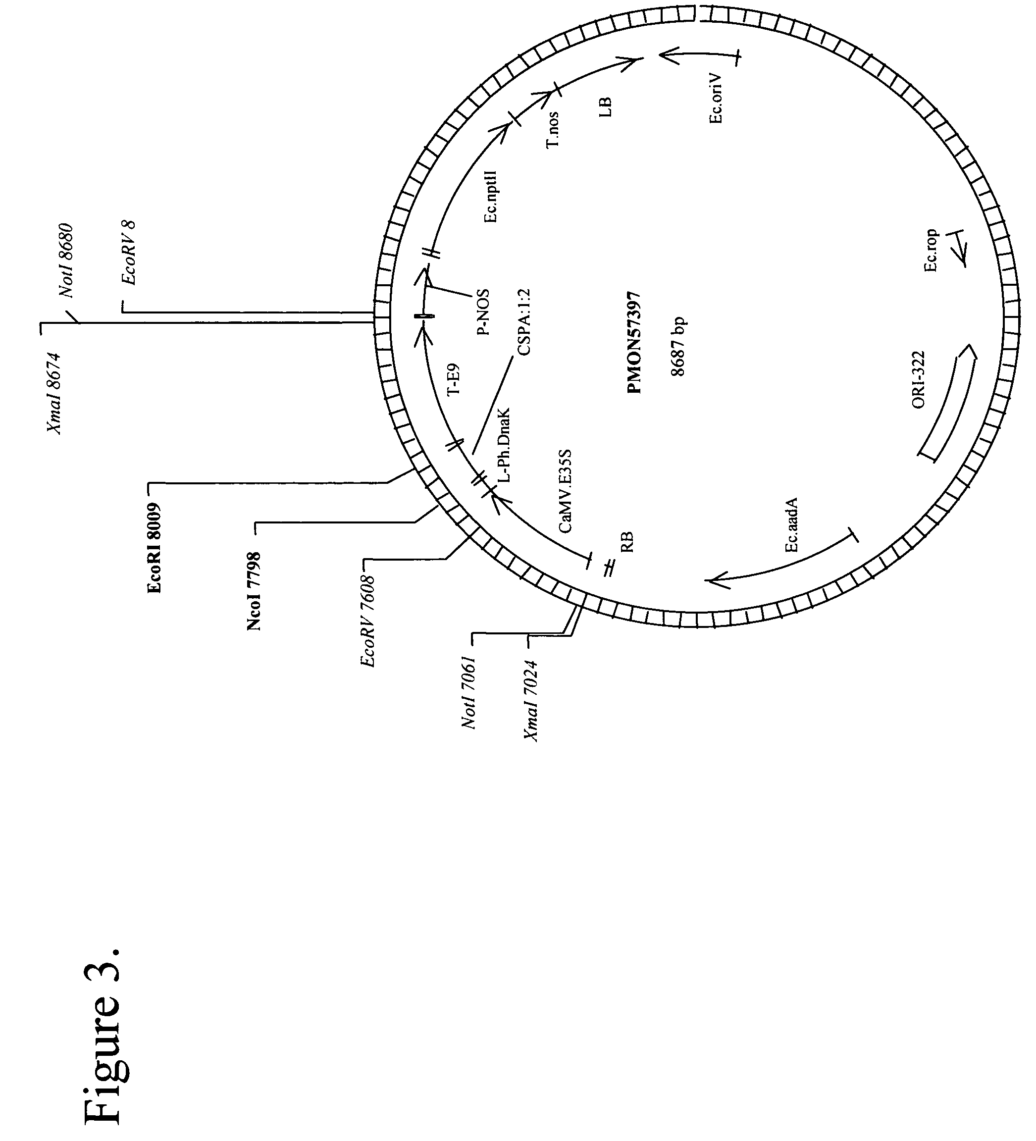 Methods for enhancing drought tolerance in plants and compositions thereof