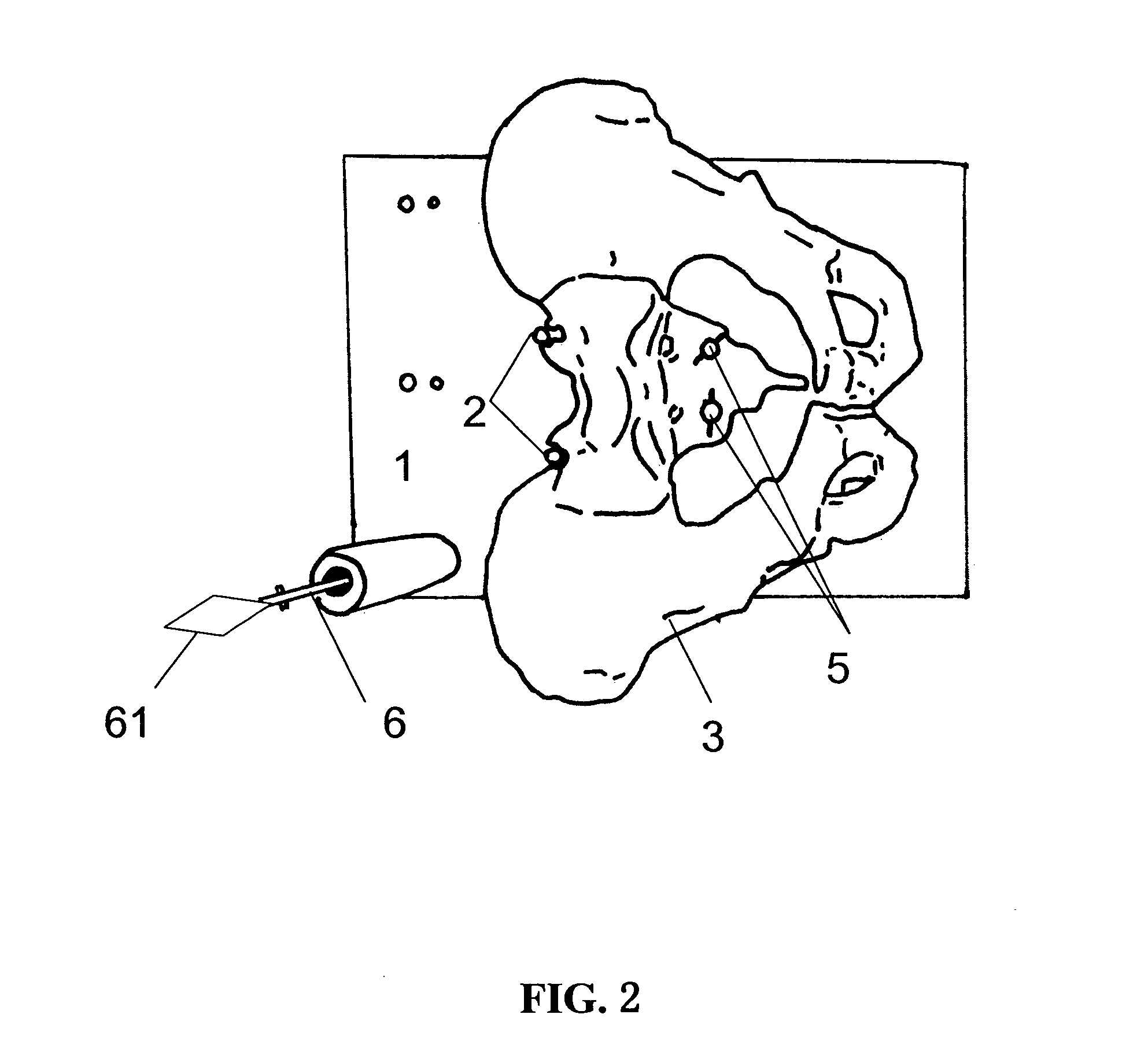 Navigation surgical training model, apparatus having the same and method thereof