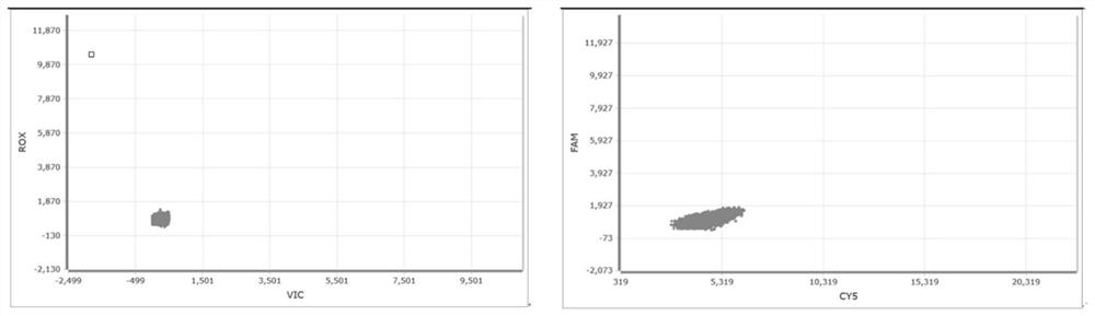 Typing detection kit for three subtypes of BCR-ABL1 fusion gene