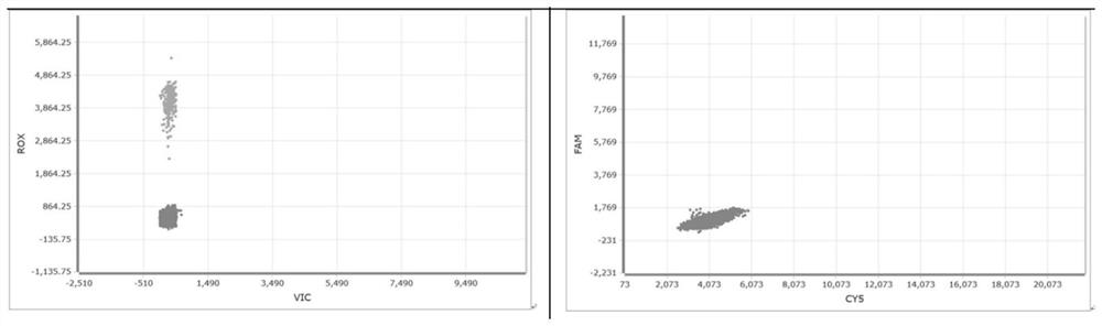 Typing detection kit for three subtypes of BCR-ABL1 fusion gene