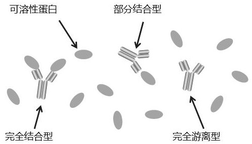 Universal method for detecting total concentration of monoclonal antibody drug of targeted soluble protein in monkey serum