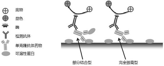 Universal method for detecting total concentration of monoclonal antibody drug of targeted soluble protein in monkey serum