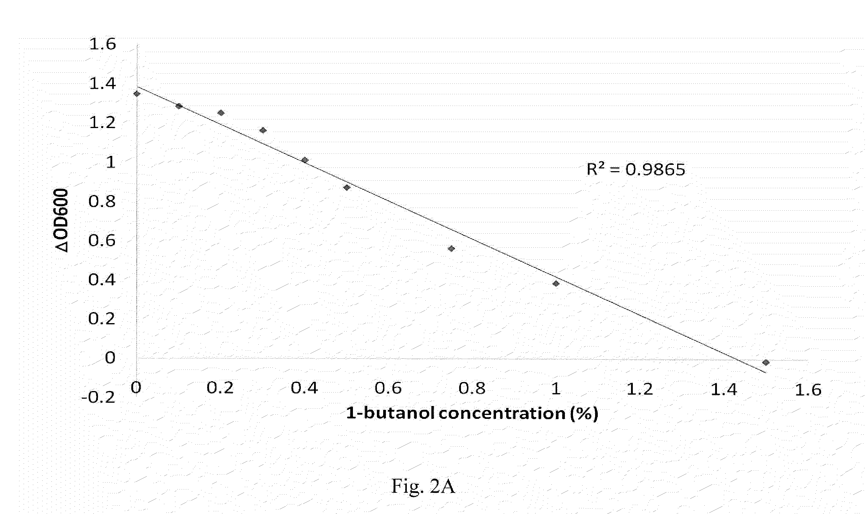 Alcohol tolerant escherichia coli and methods of preparation thereof