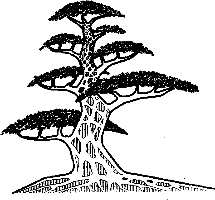 Cultivating method of packing trees and packing stumps