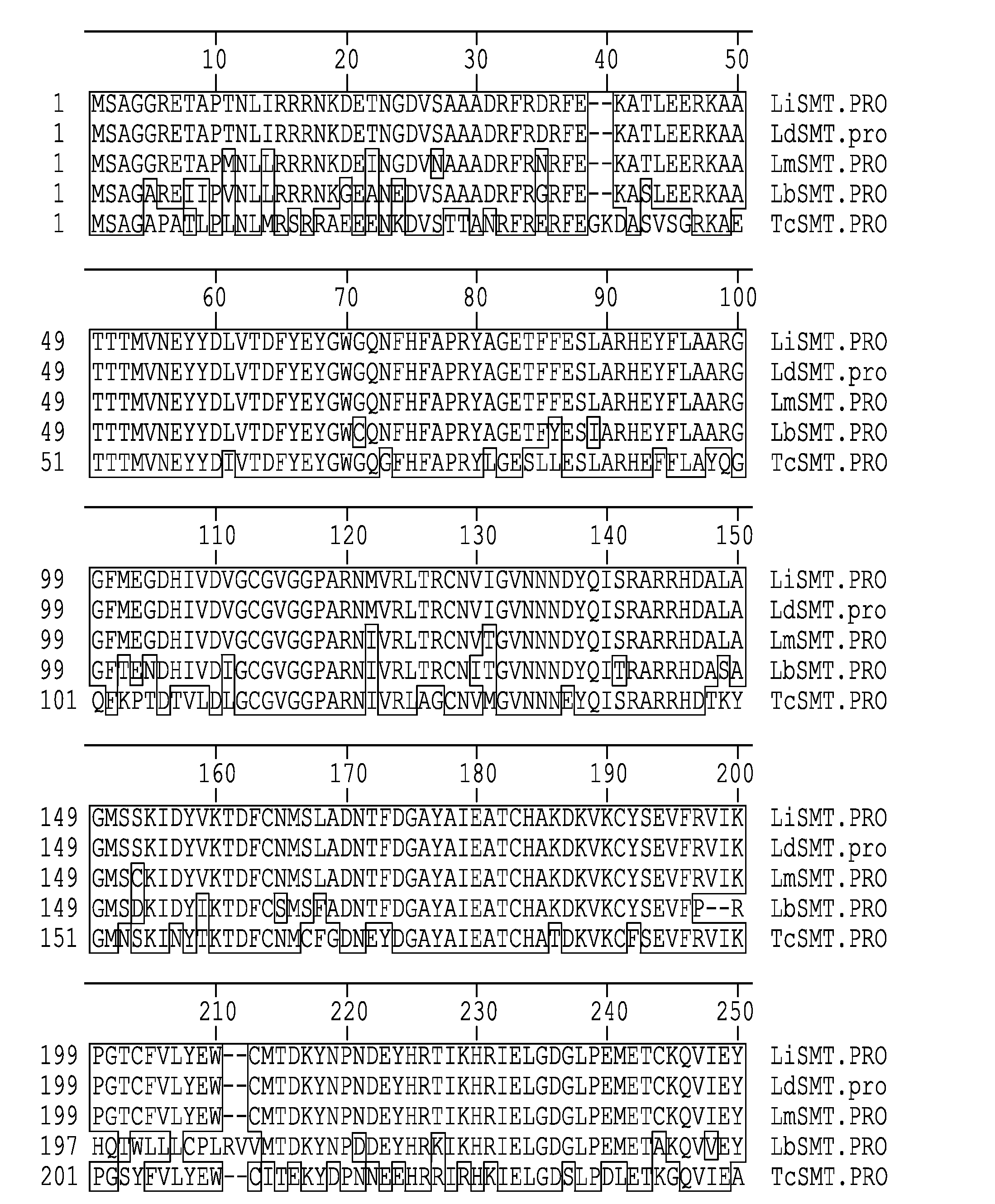 Leishmania sterol 24-c-methyltransferase compositions for the prevention, treatment and diagnosis of leishmaniasis