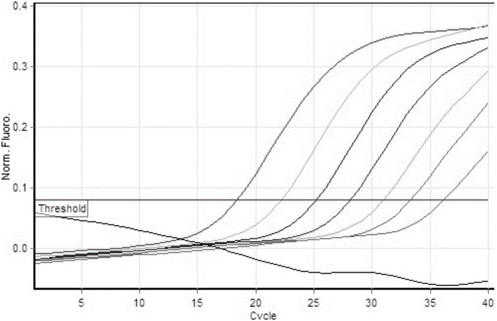 Primer, probe and kit for detecting canine parvovirus and detection method