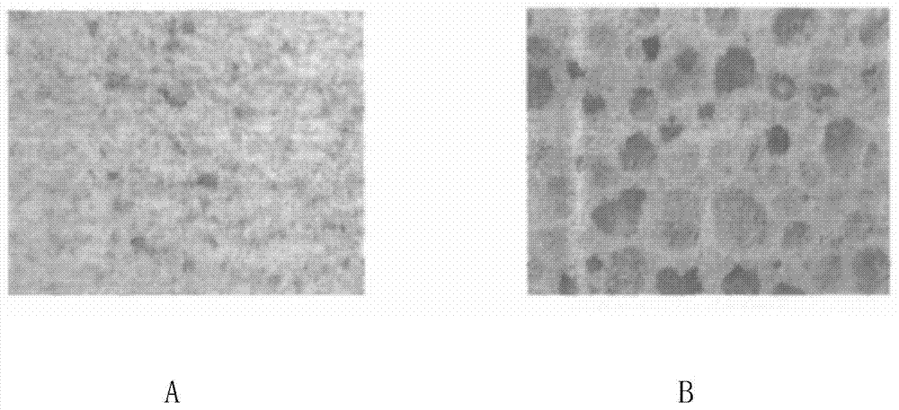 A kind of modified phenolic foam for wall insulation and preparation method thereof